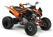 Yamaha YFM250R Yamaha YFM250R
